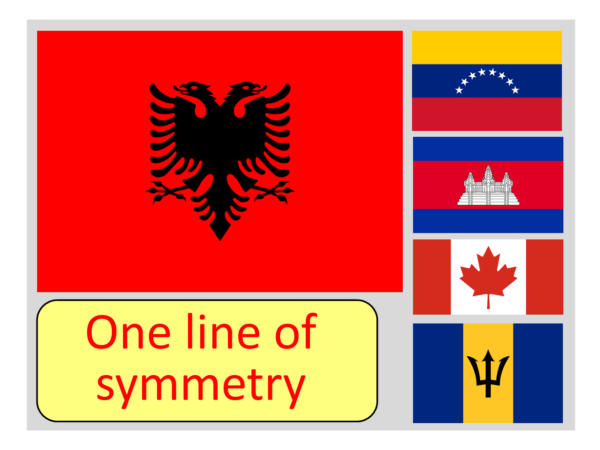 FLAGS line symmetry